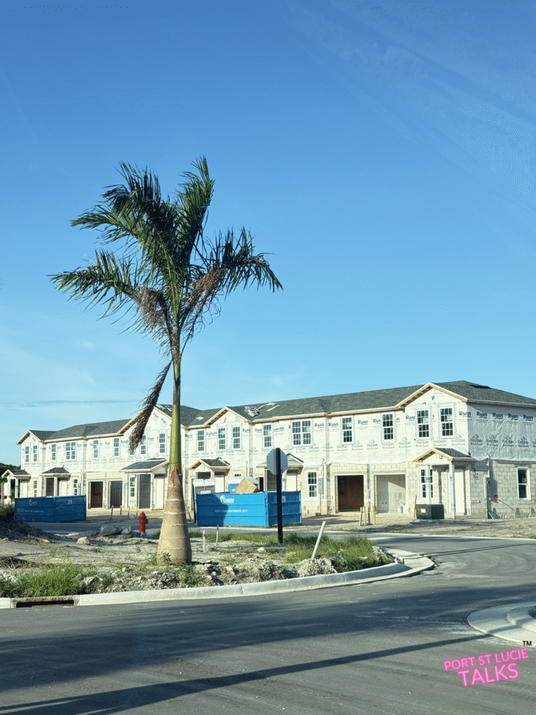 Palm tree beside modern home at Waverly at Wylder Port St. Lucie FL