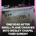 One Dead After Small Plane Crashes Into Wesley Chapel Yard Sunday Morning