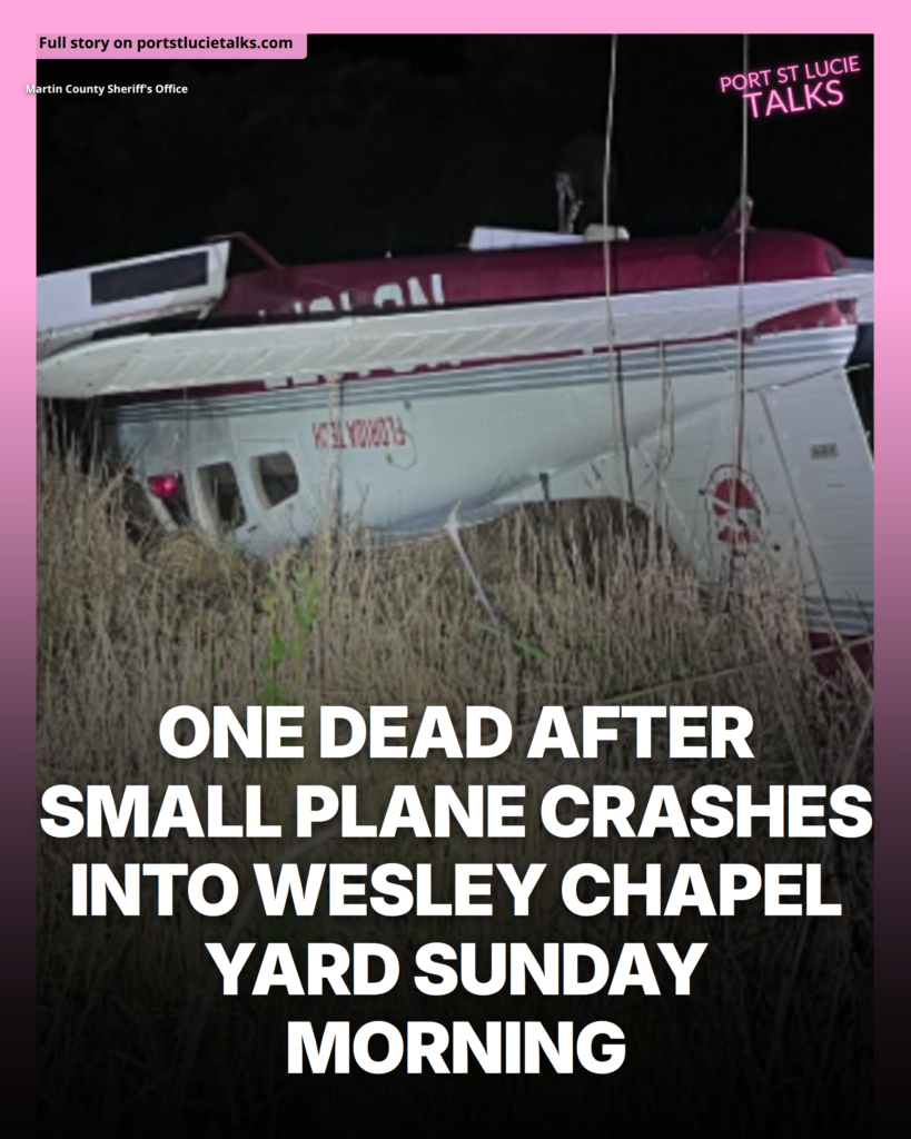 One Dead After Small Plane Crashes Into Wesley Chapel Yard Sunday Morning