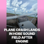 Plane Crash Lands in Hobe Sound Field After Engine Issue