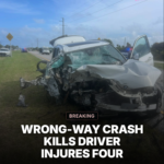 Wrong-Way Crash on U.S. 1 Kills Driver, Injures Four